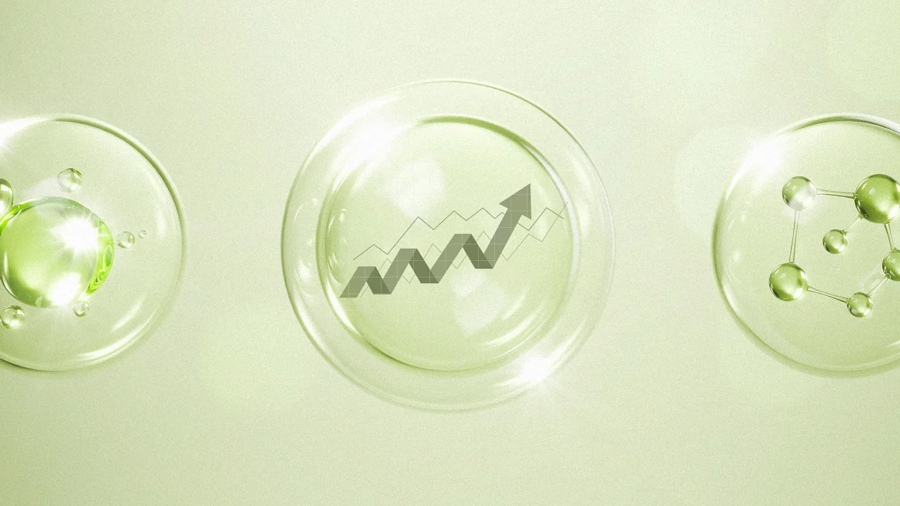 Het verslaan van de AI-bubbel