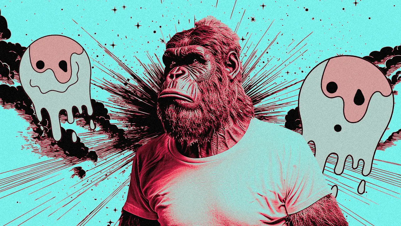 TikTokers bedenken een plan om memes weer geweldig te maken TikTokers bedenken een plan om memes weer geweldig te maken