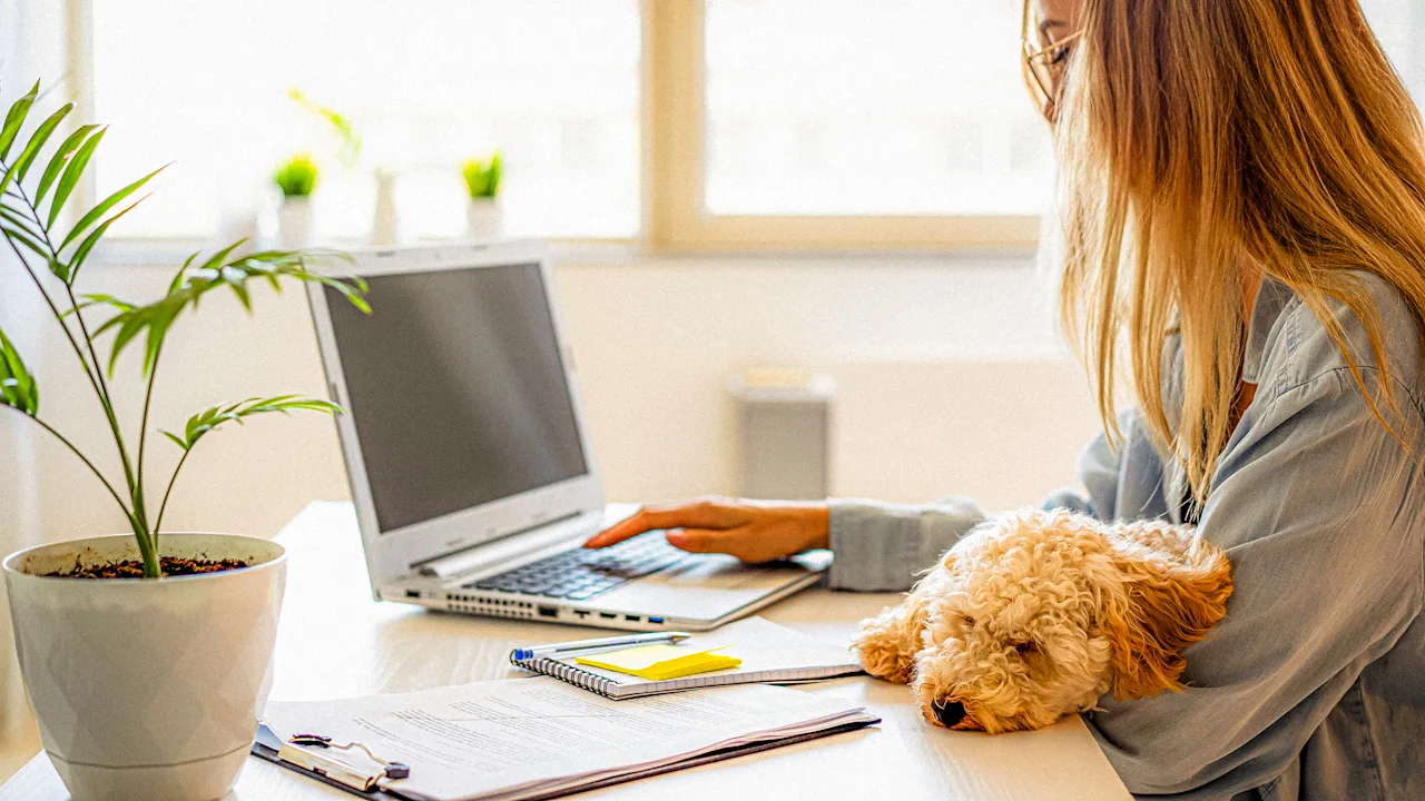 Huisdieren zijn de nieuwe kinderen: hoe een generatiewisseling de werkcultuur herschrijft
