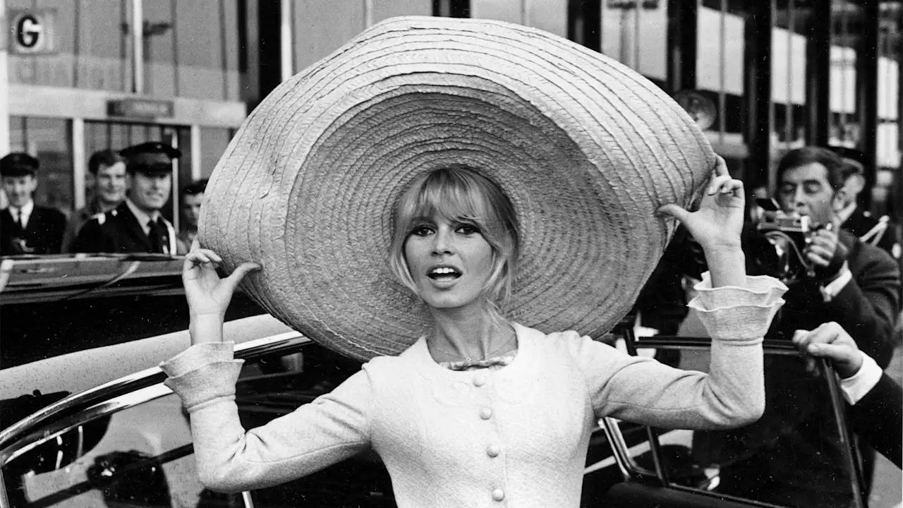 Brigitte Bardot, Franse sirene uit de jaren zestig die activist werd, sterft op 91-jarige leeftijd