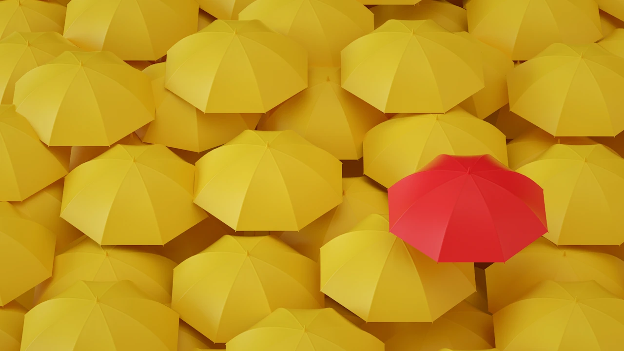 De nieuwe ROI: rendement op inclusie