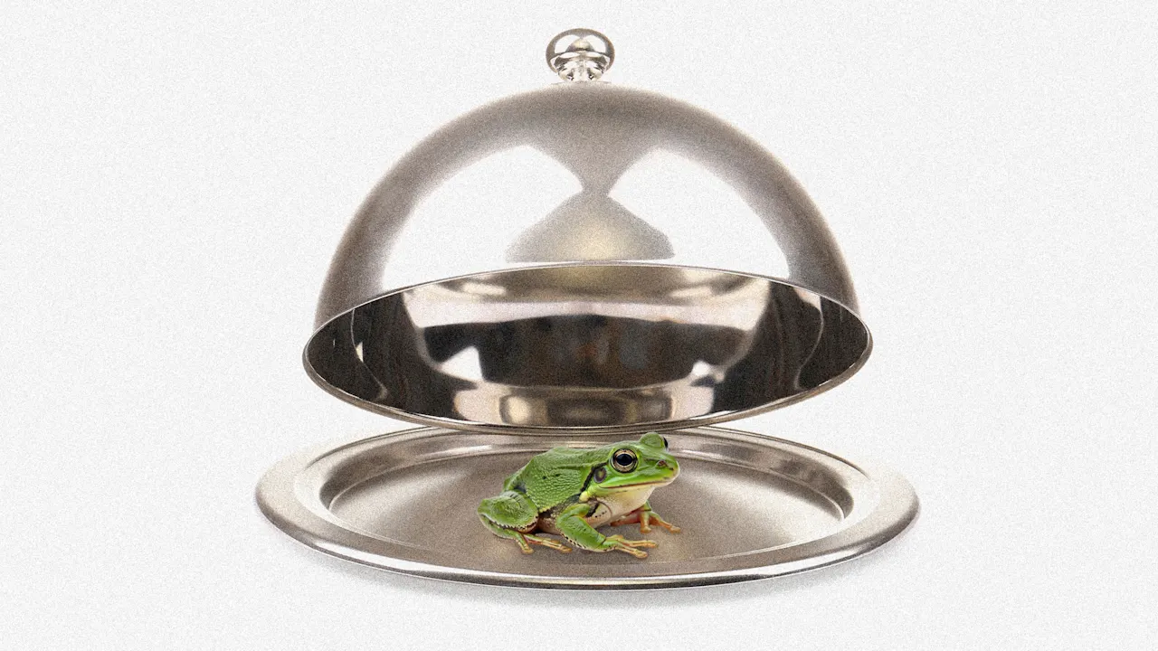 ‘Eet de kikker’: hoe het uit de weg ruimen van onaangename dingen zorgt voor een bevredigende dag