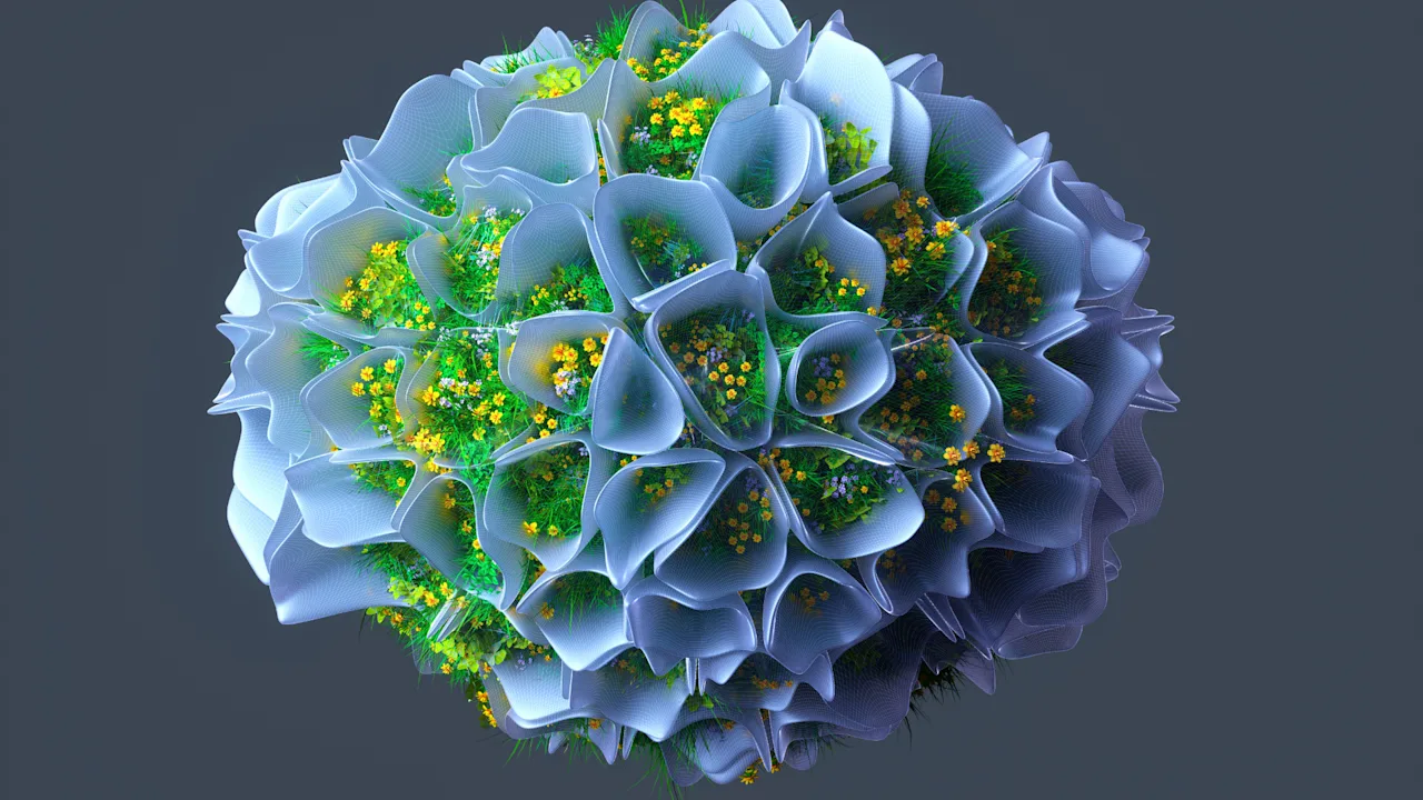 Waarom investeerders en boeren inzetten op biologische landbouw