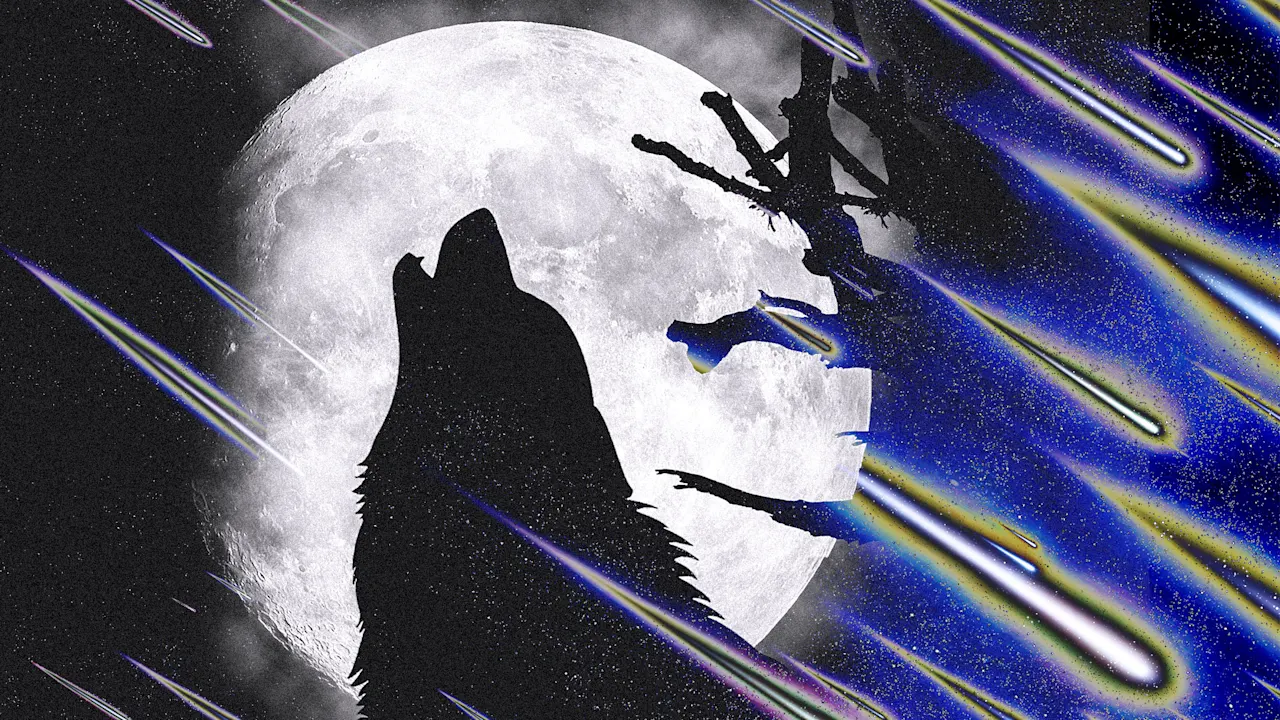 Volle ‘wolfmaan’ van januari 2026: kijk vanavond omhoog om de oogverblindende eerste supermaan van het jaar te zien