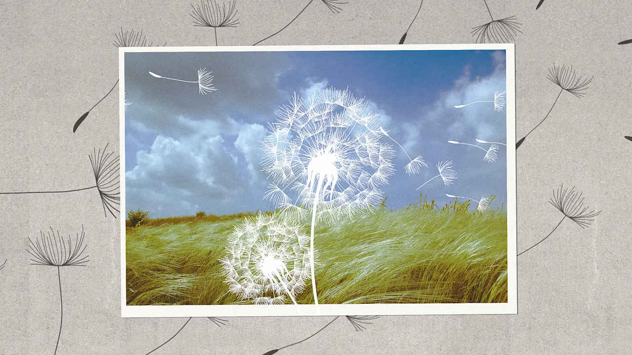 Hoe zullen de impact en duurzaamheid van bedrijven er na een moeilijk jaar in 2026 uitzien?