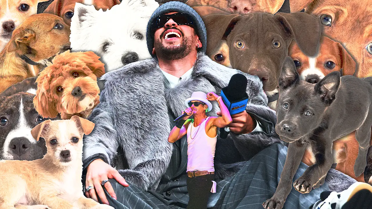 Kan MAGA’s kattenkwaad Bad Bunny overtreffen? (Of in ieder geval de puppykom)?