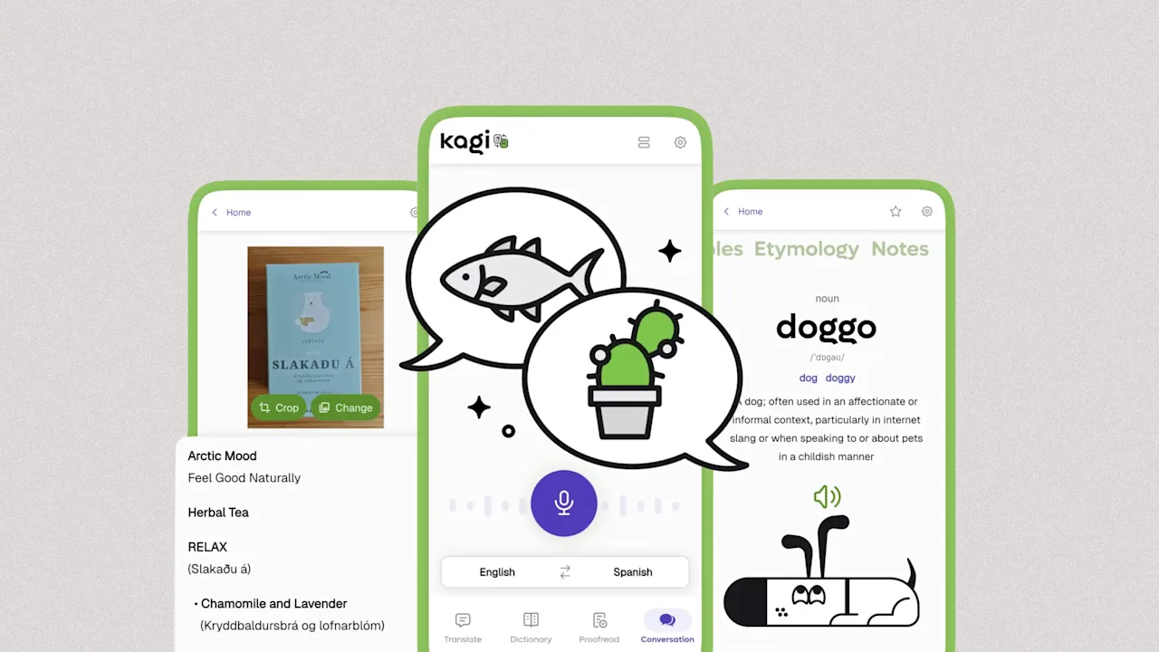 Kagi’s new app is like Google Translate—plus privacy