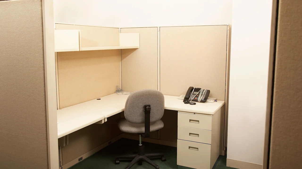 Jouw rol werd geëlimineerd. Jouw capaciteiten waren dat niet