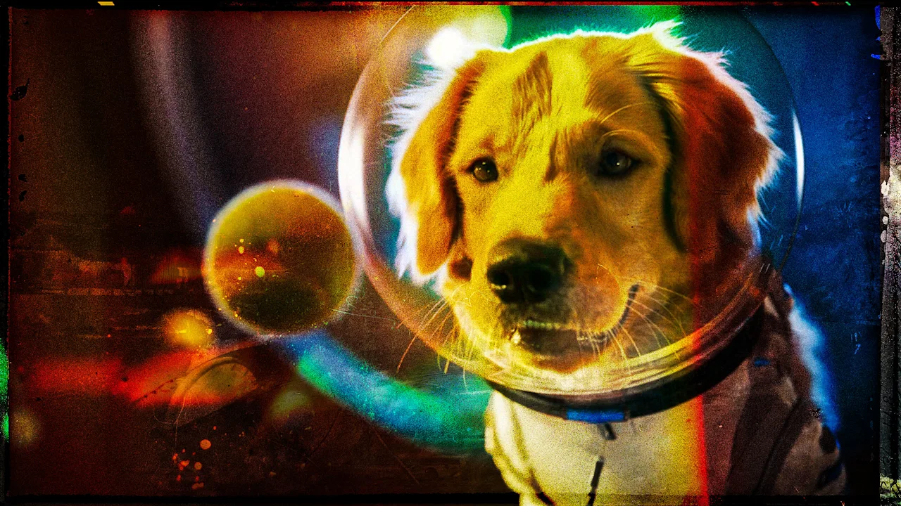 Sora is dood. Sociale media dansen op hun graf. Betekent het afsluiten van de video-app dat OpenAI de AI-bubbel barst?