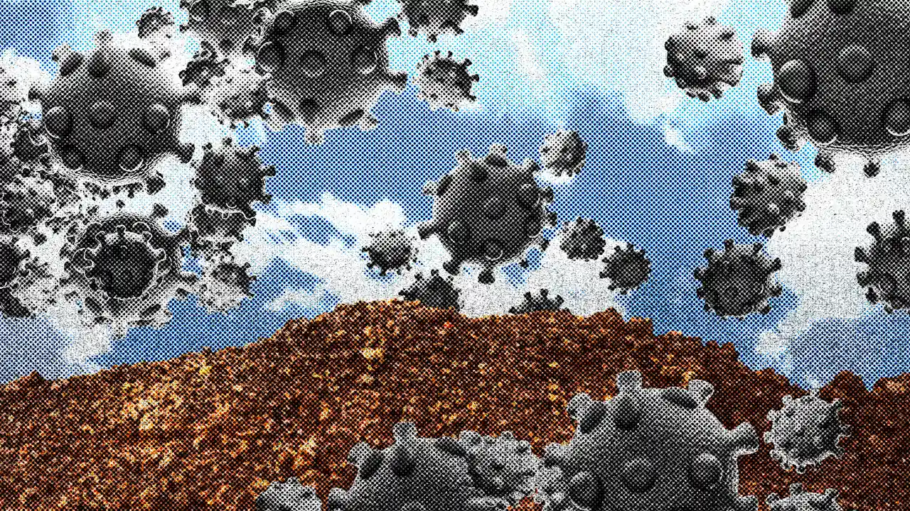 COVID-variant BA.3.2: Symptomen, aandoeningen en wat u moet weten over de opkomende ‘cicade’-dreiging