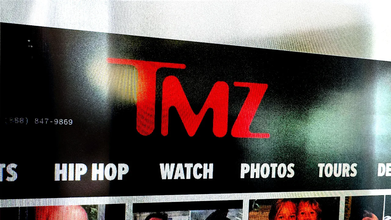 ‘Hun rommelige, moreel gebrekkige manieren ten goede gebruiken’: TMZ richt zich op senatoren die op vakantie zijn in Disney World omdat de shutdown 45 dagen duurt