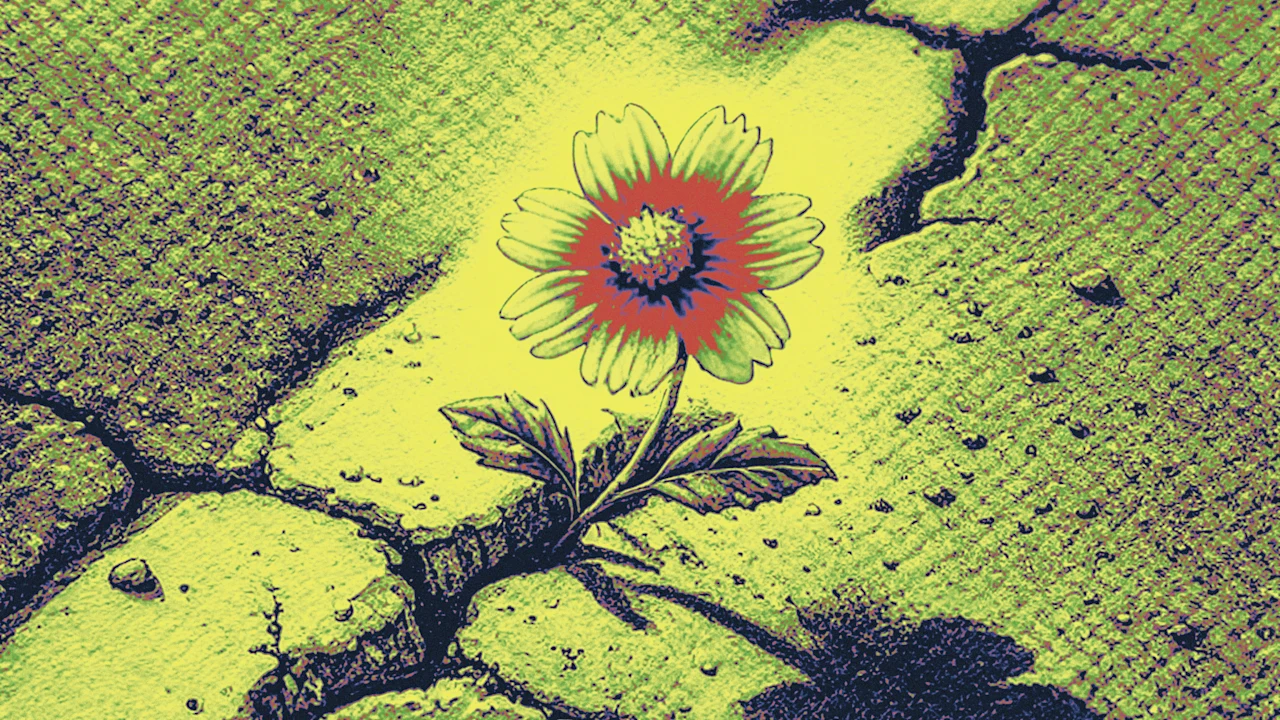 Lokale overheden zouden AI voorgoed kunnen inzetten. Hier is hoe