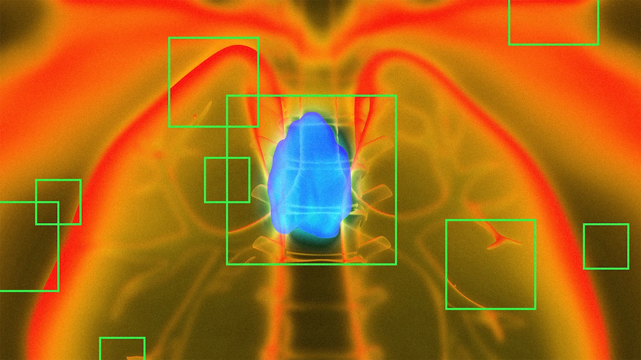 Uit nieuw onderzoek blijkt dat één klein orgaan een beslissende rol kan spelen in de levensduur