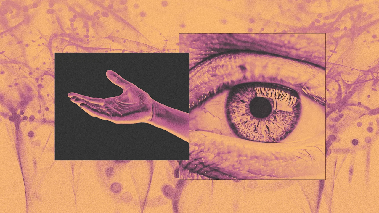 9 tips om met empathie om te gaan van een neurowetenschapper