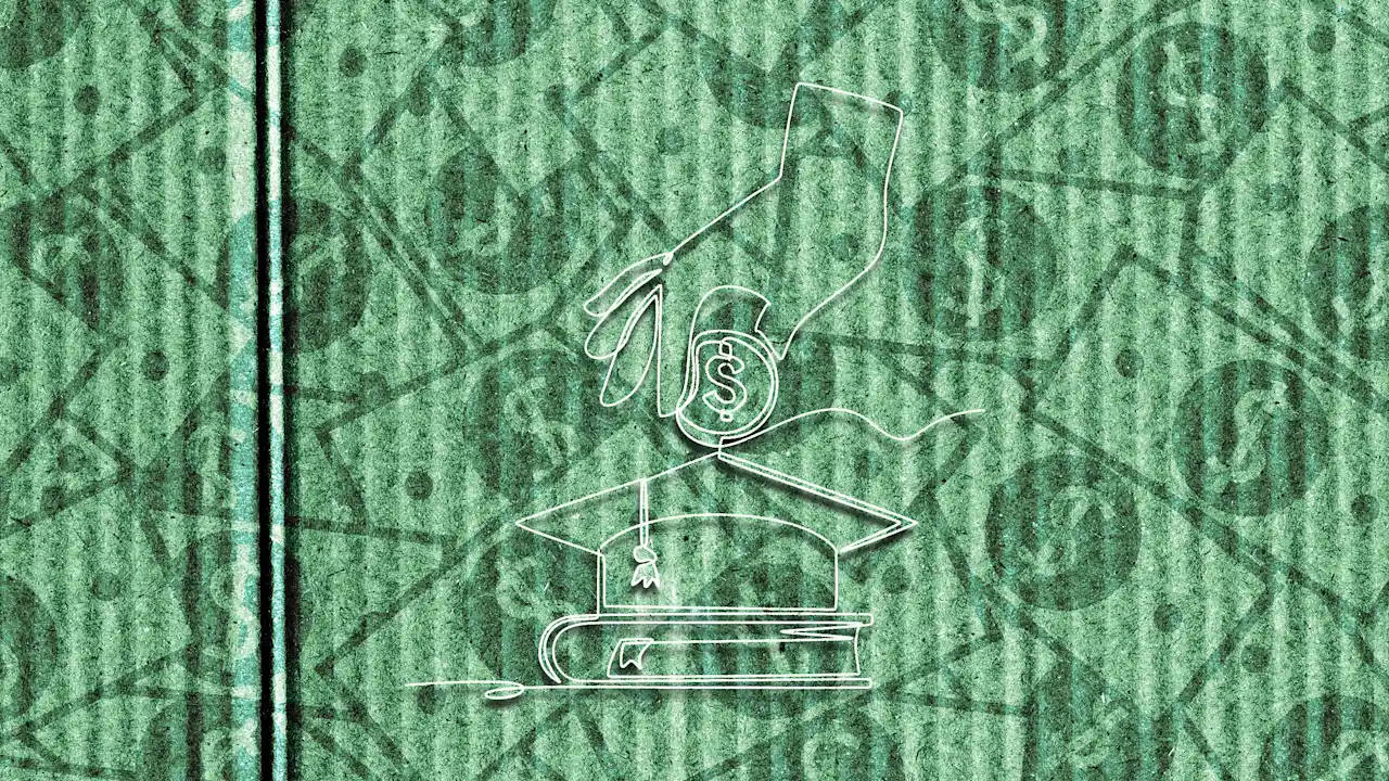 Particuliere studieleningen: een waarschuwende gids voor uw opties