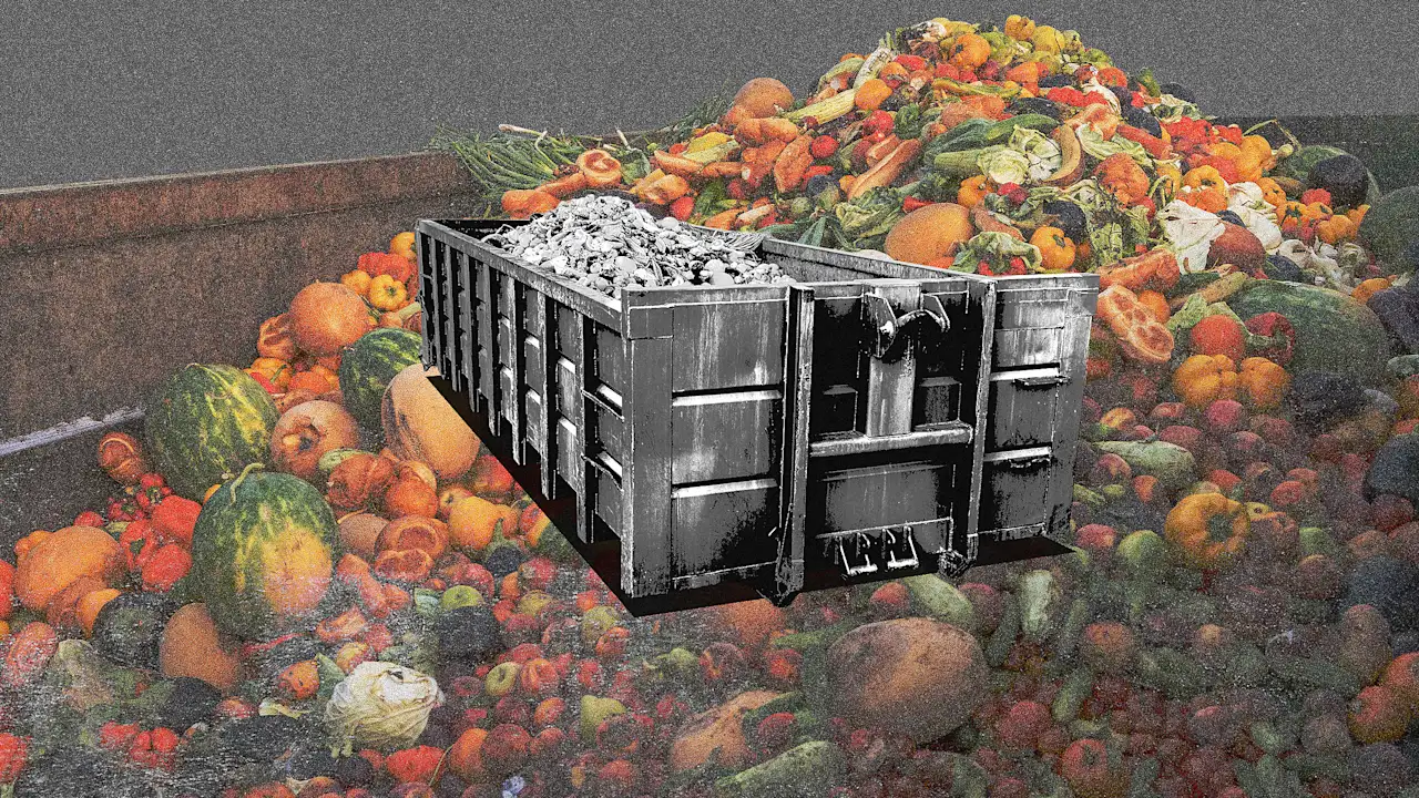 The Algorithm of the Apple: Solving Grocery Waste with AI