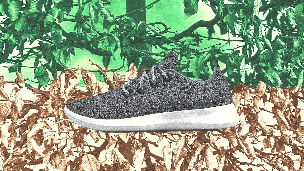 Allbirds dumpt zijn milieumissie terwijl het zich richt op AI