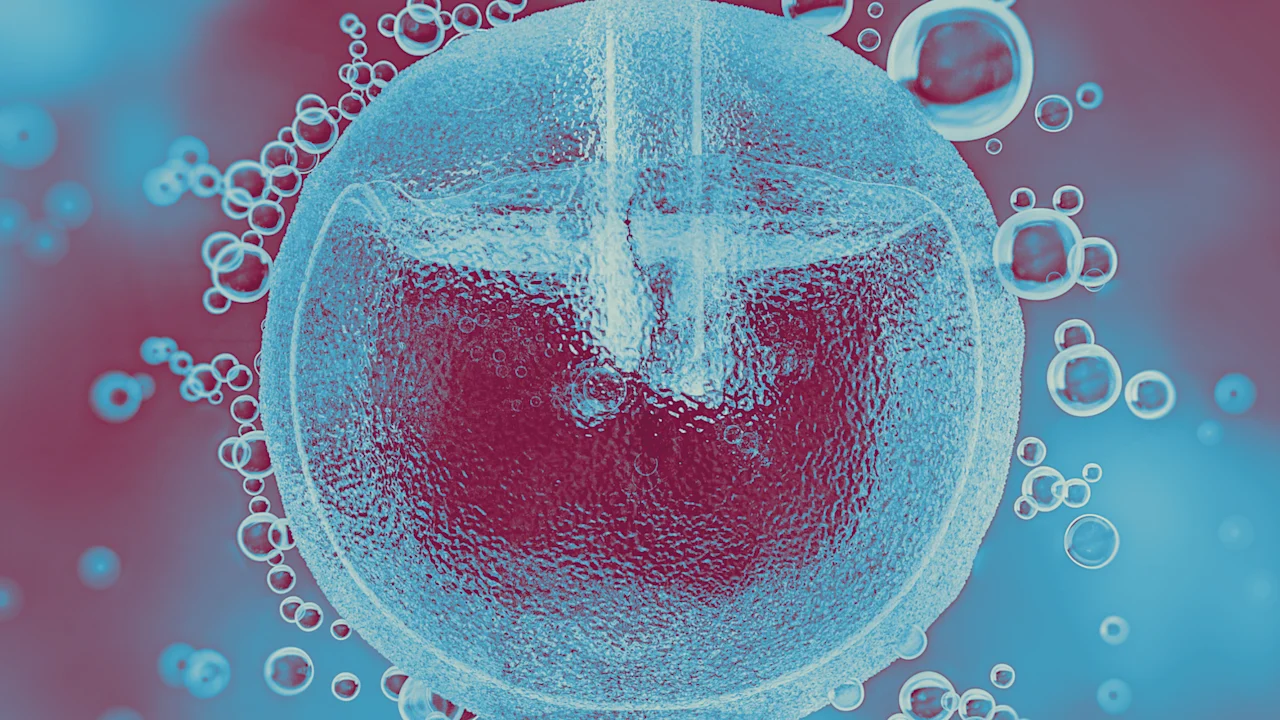 The Biological Arbitrage: Why Egg Freezing Is Corporate America’s New Frontier