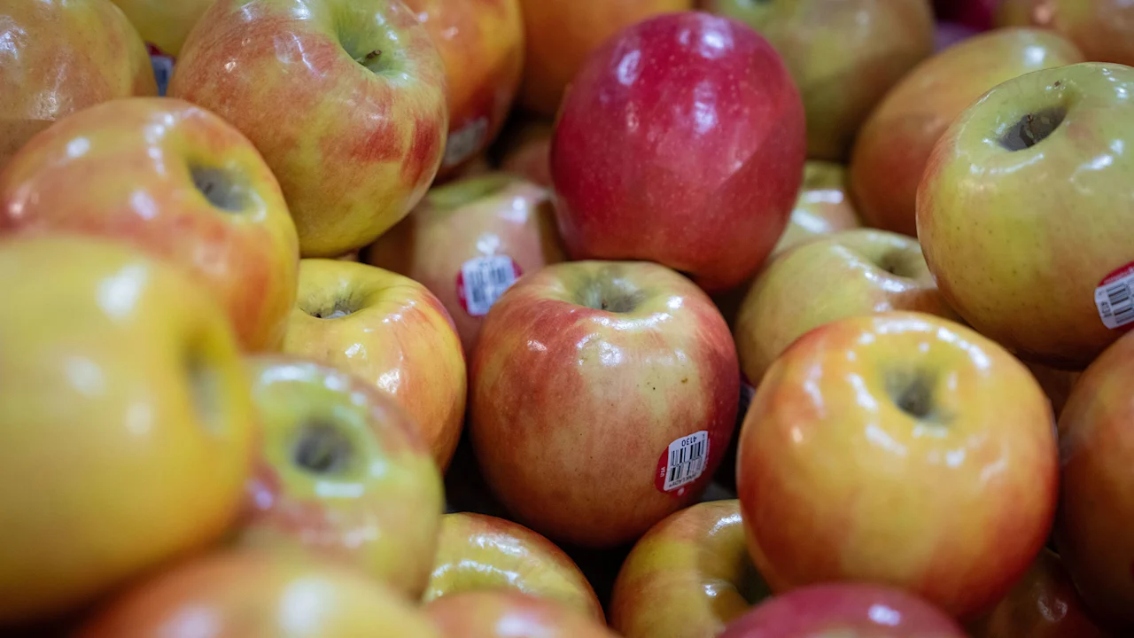Stijgende benzineprijzen zijn niet de enige reden waarom Amerikanen meer betalen voor boodschappen