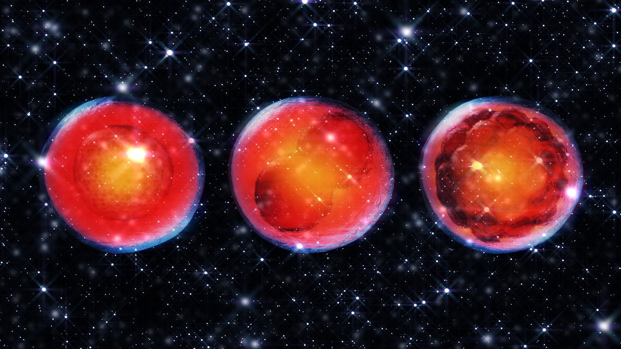 China is researching whether we can have babies in space