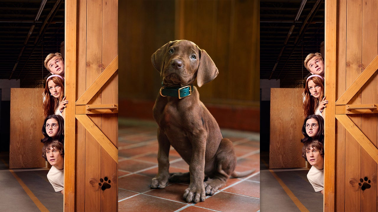 Scooby-Doo movie casts a real dog for the first time: What PETA and animal rights groups say about it