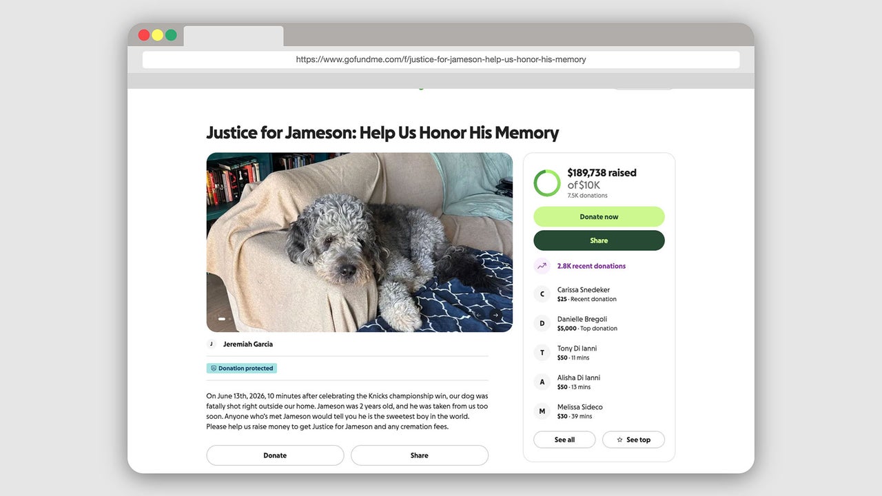 GoFundMe confirms campaign for dog shot by LAPD is authentic as fundraising nears $190,000 mark
