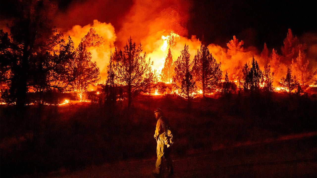 Wildfires are more extreme in Europe and North America, but decreasing globally. Here’s why