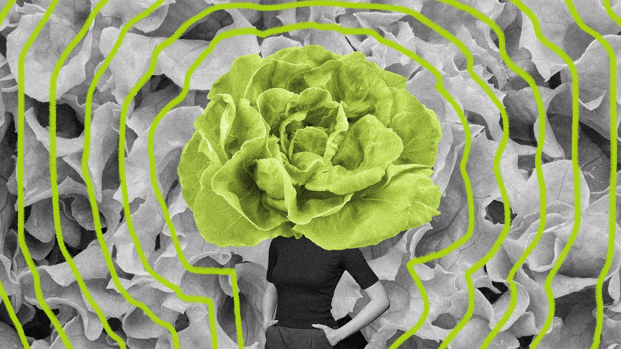 Cyclosporiasis Outbreak Linked to Iceberg Lettuce