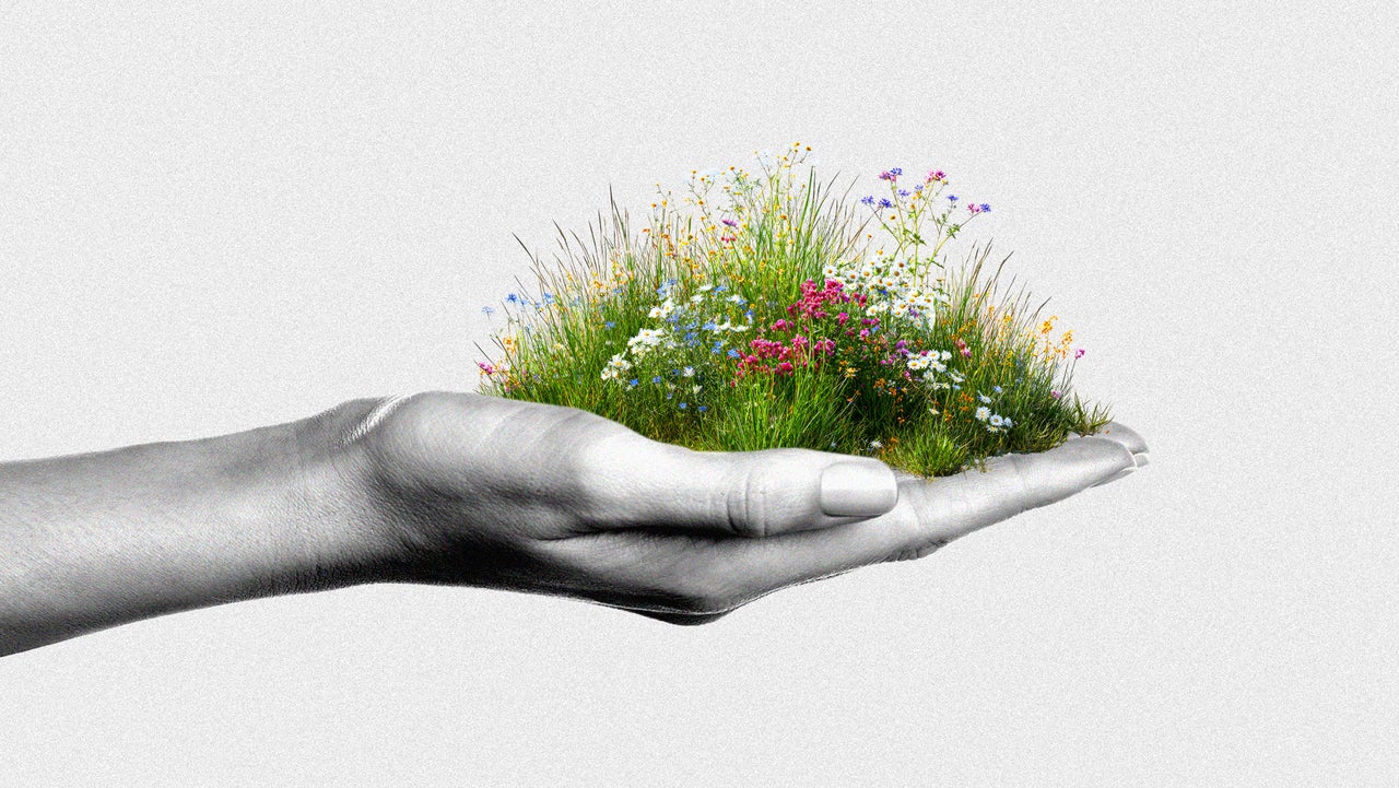 How ‘wildflowering’ at work could lead to promotions