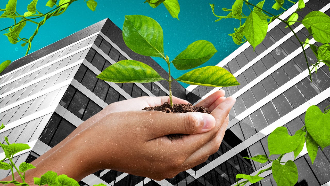 How to pitch the business case for sustainability and actually get companies on board