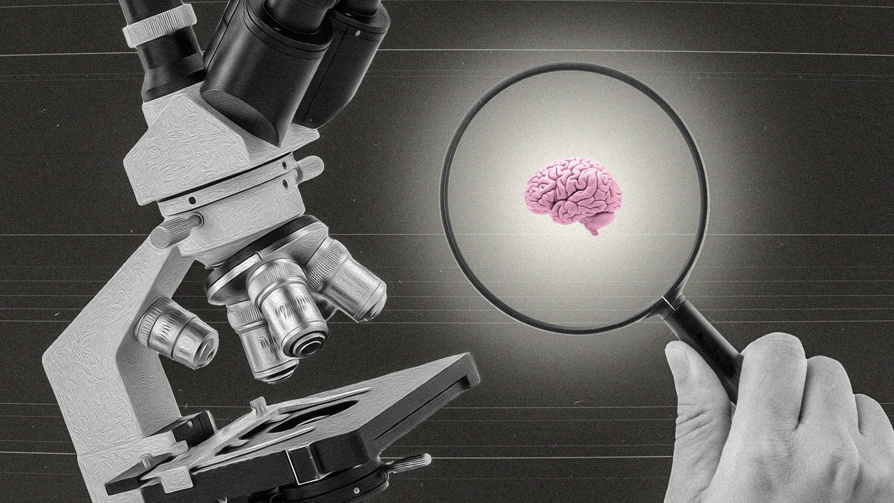 Scientists say one everyday habit may be quietly shrinking your brain
