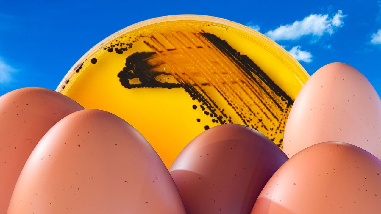19 million eggs sold at Kroger and other stores recalled due to Salmonella fears: See a list of impacted products