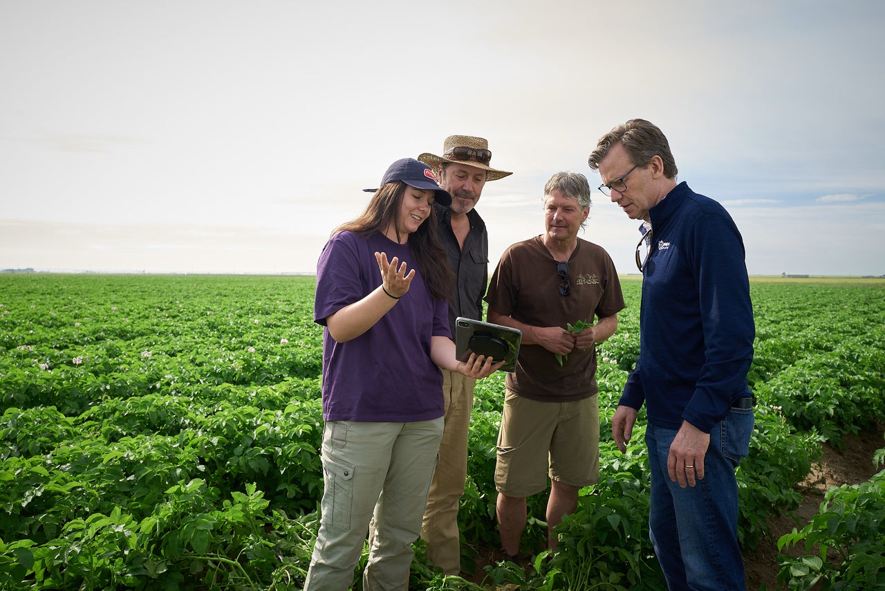 Why a food and drinks giant is betting big on crop science
