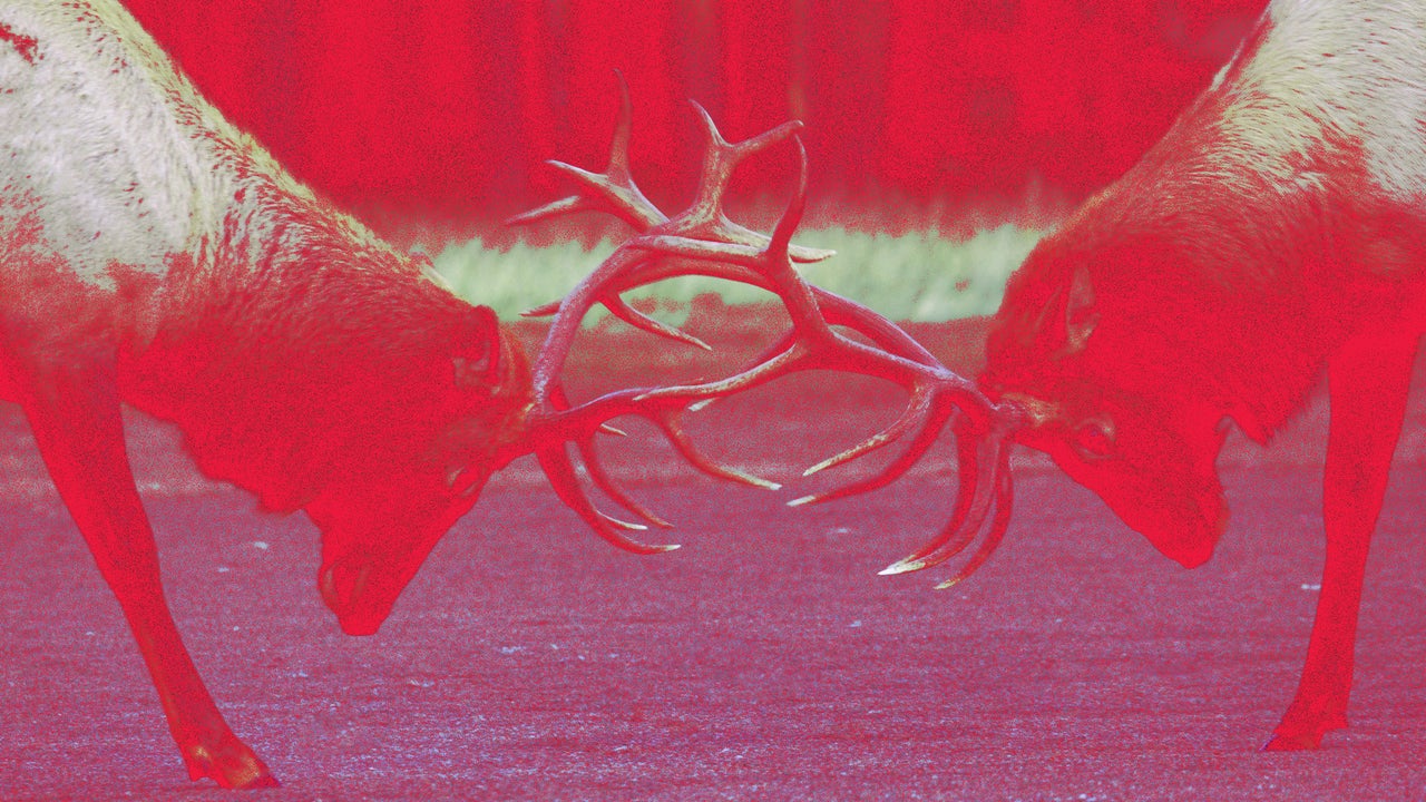 How friction can spark creativity at work