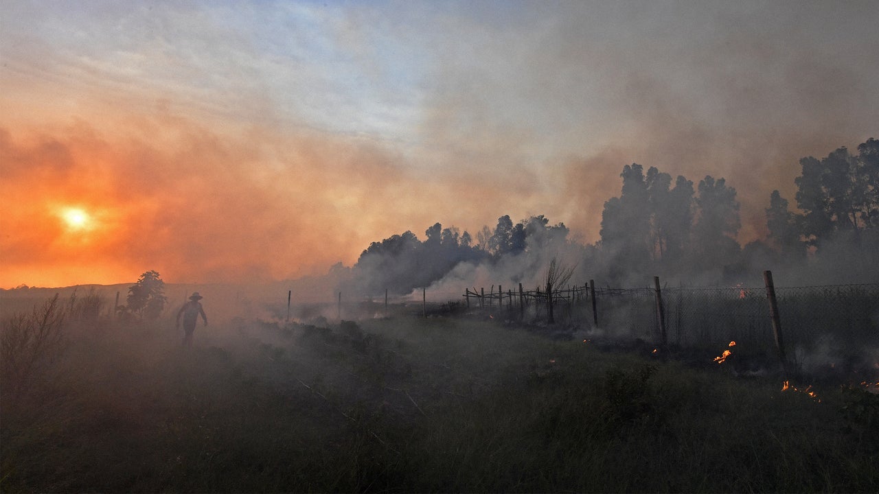 Half of the world’s population has been exposed to heat waves and wildfire smoke at the same time