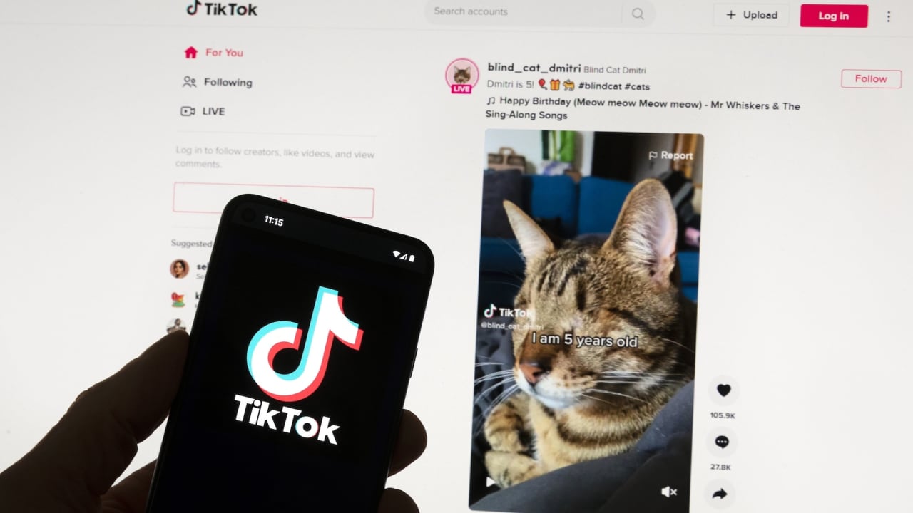 EU questions TikTok’s new app that pays users to watch videos