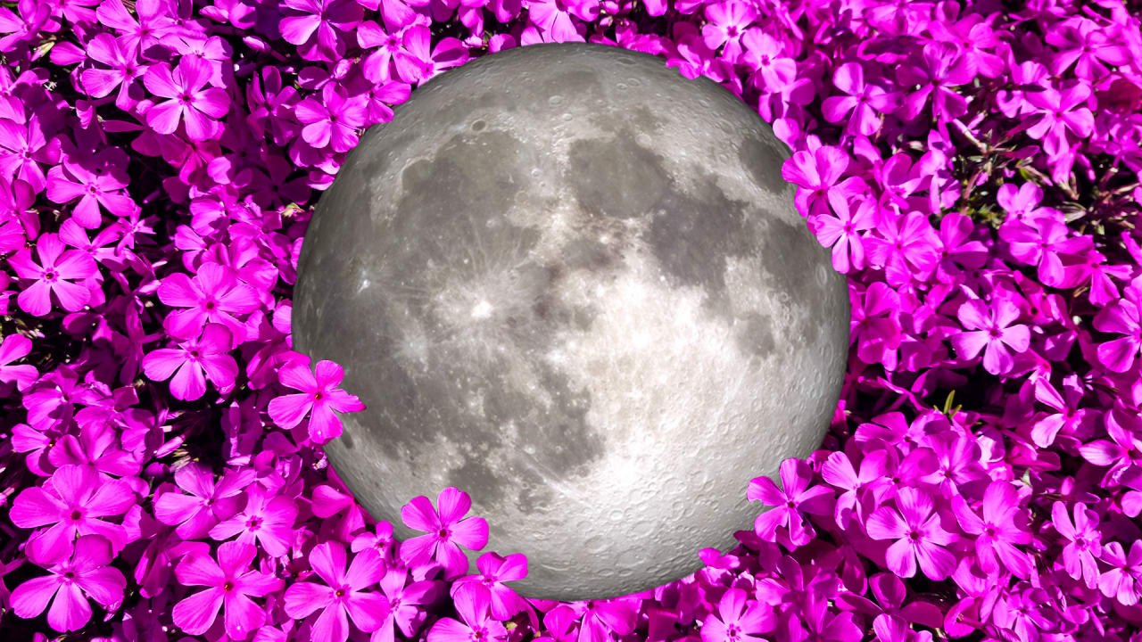 The full moon will be ‘pink’ tonight: Here’s when to see it and what it means