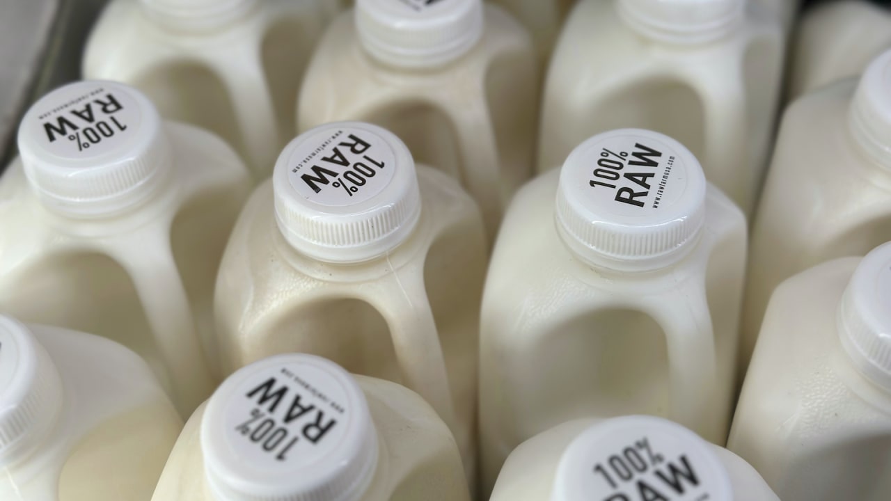 Raw milk sales are up despite bird flu outbreak in dairy cows