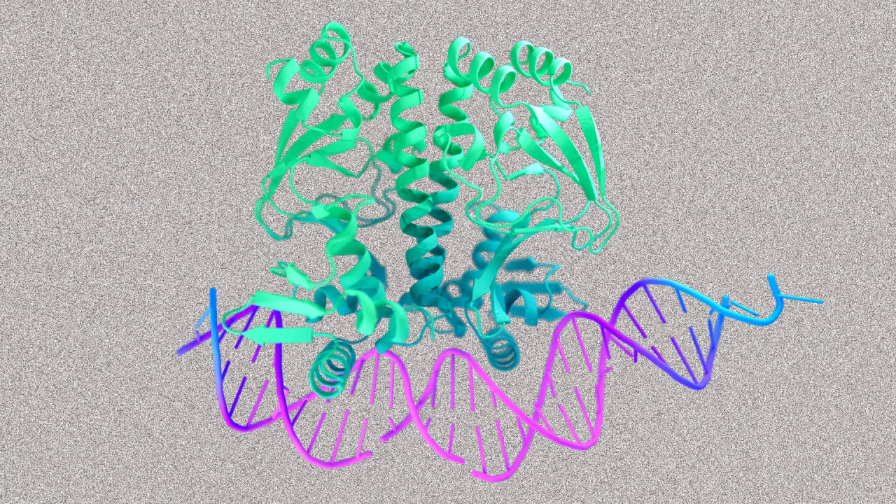 DeepMind’s new AlphaFold 3 expands to DNA, RNA modeling