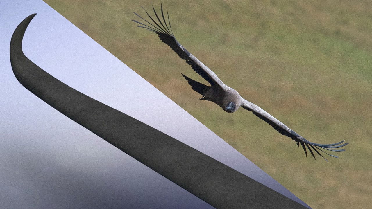 These wind turbine ‘winglets’ were inspired by the American condor