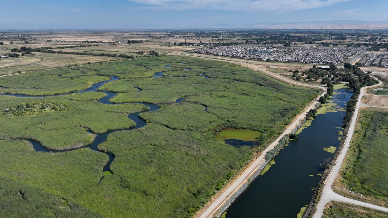 How the private sector can protect wetlands