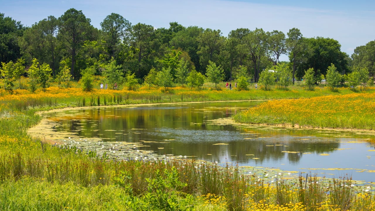 How Houston redesigned an abandoned golf course to keep a nearby neighborhood from flooding