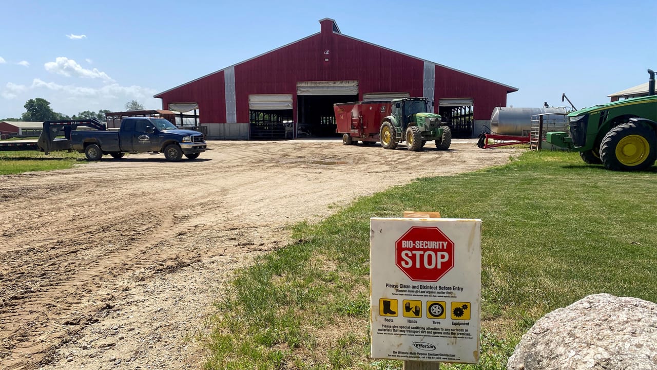 Michigan’s bird flu response sparks COVID-era resistance from farmers