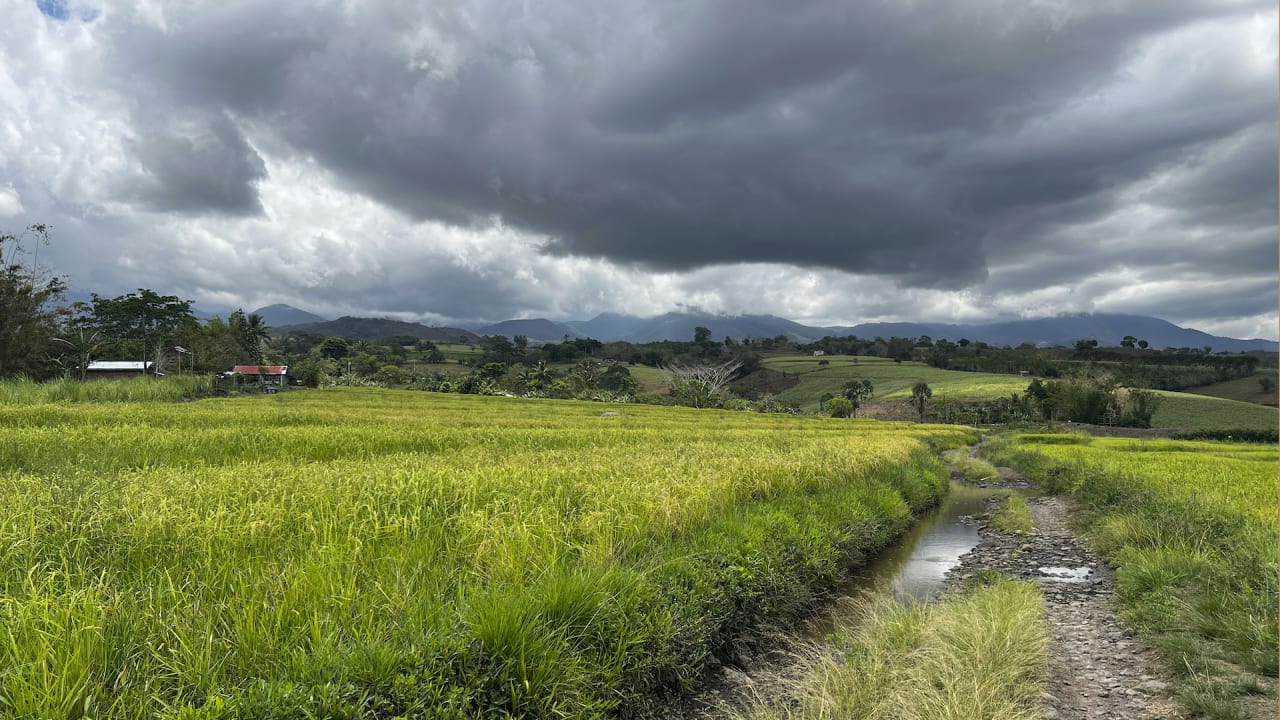 This insurance is becoming more popular among farmers facing extreme weather