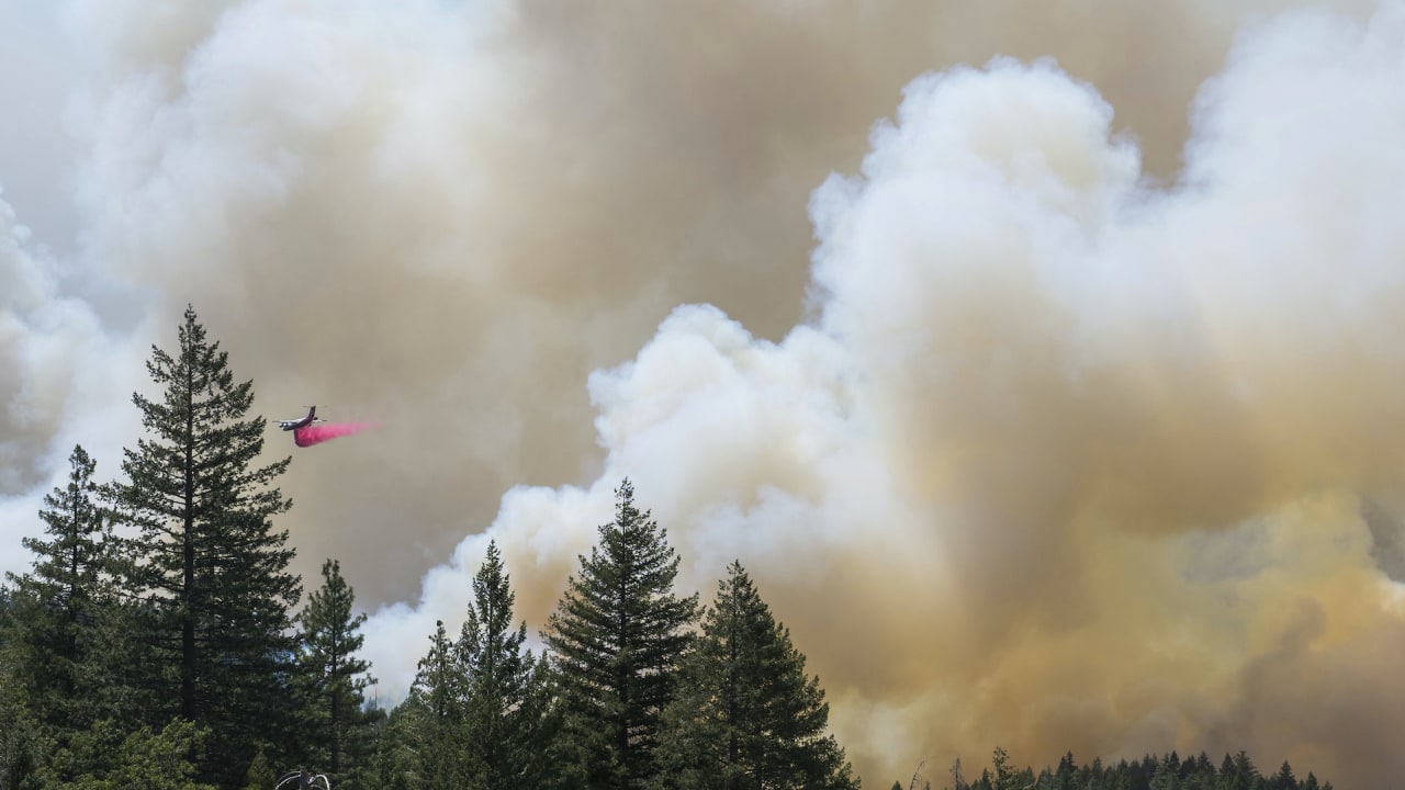 Wildfire smoke increases dementia risk more than other air pollution, study says