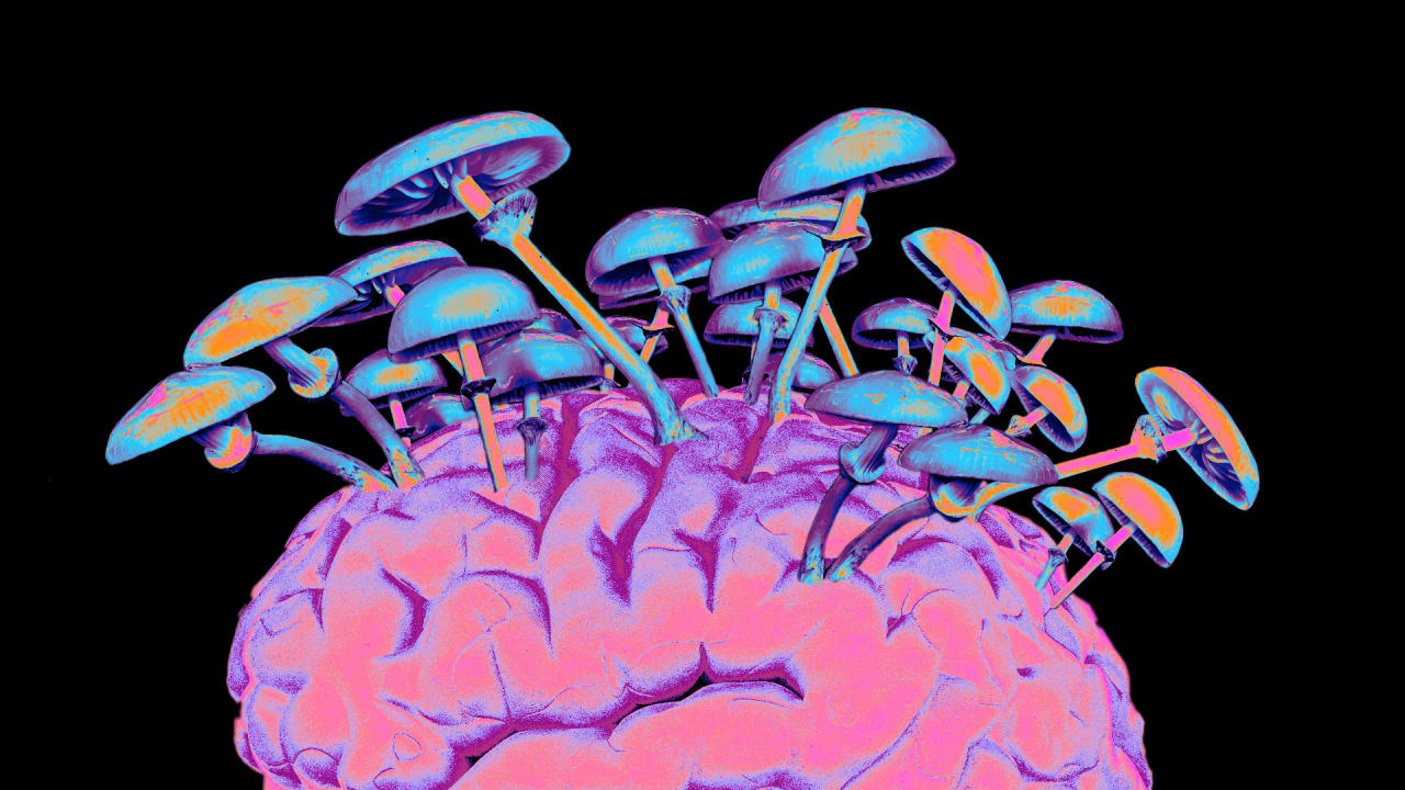 Neuroscientists have mapped what happens to your brain when you take shrooms—and it’s eye-opening