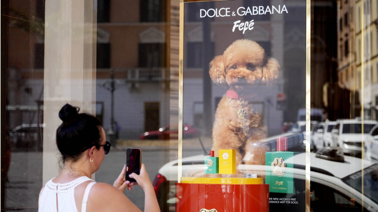 Dolce & Gabbana launches Fefé, a luxury perfume for dogs