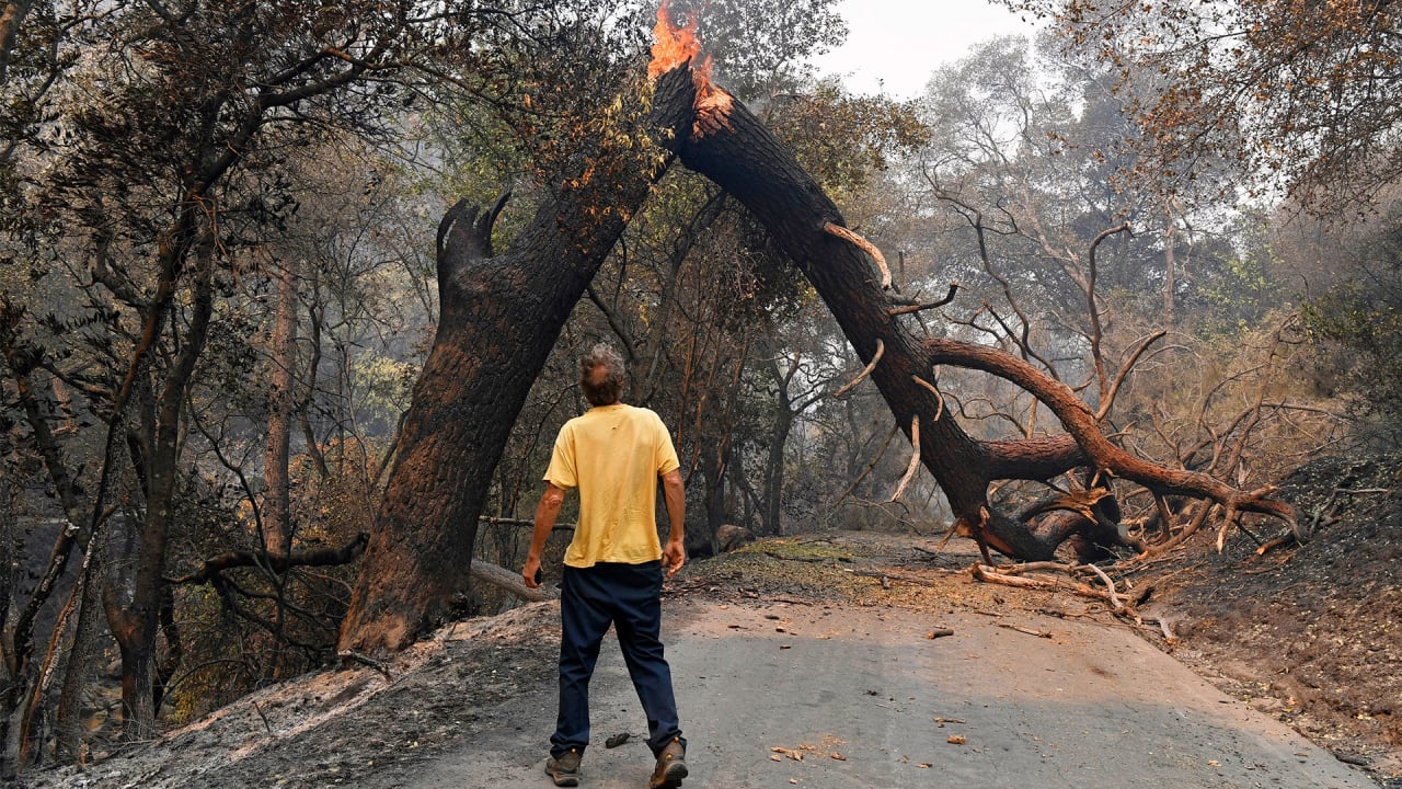 ‘We always expose ourselves to danger out of necessity’: Farmers working through wildfires pay the price with their health