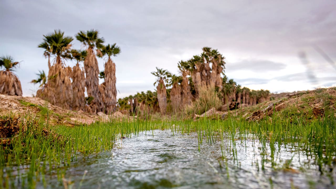 ‘Our fight is not over’: Arizona judge sides with tribal leaders in blocking drilling project