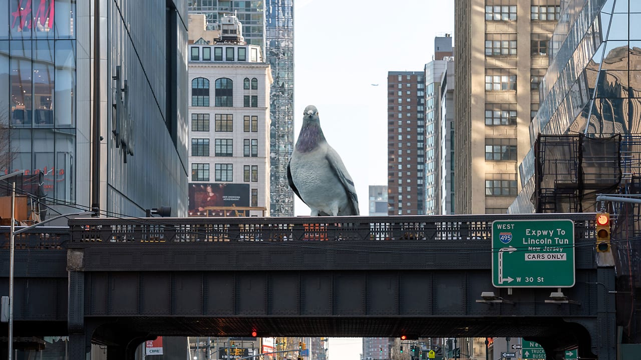 A gigantic pigeon is about to land in New York City